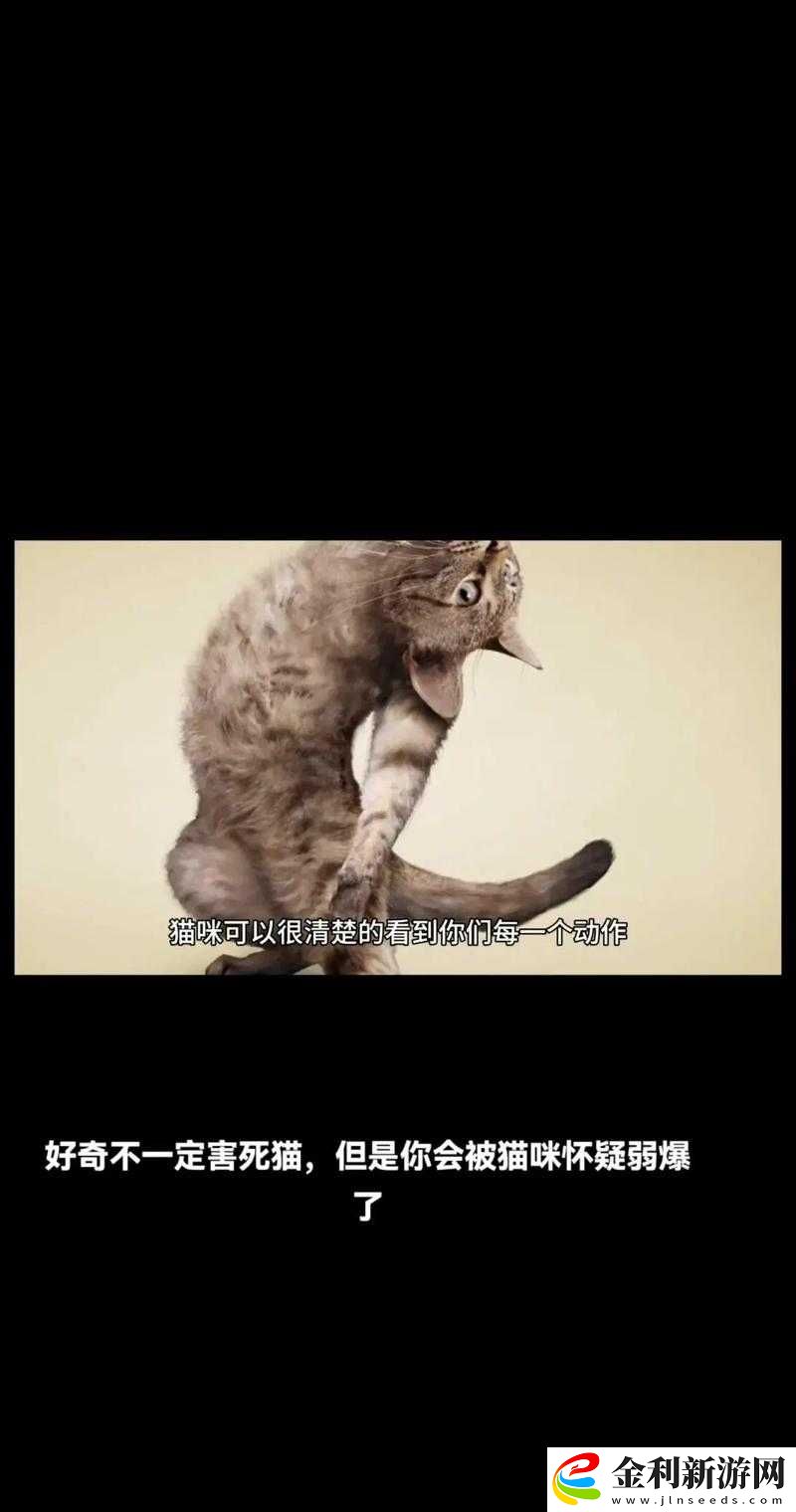 為什么人類對動物進行不可描述的行為會受到譴責