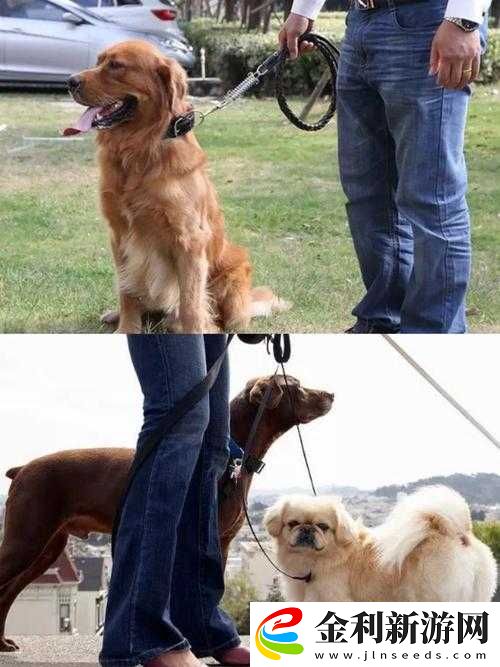 震驚男生為何被強制取精還哭了