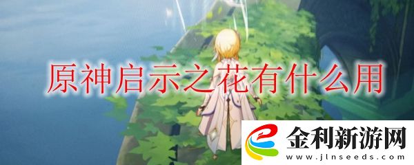 原神啟示之花有什么用