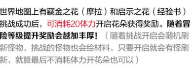 原神啟示之花有什么用