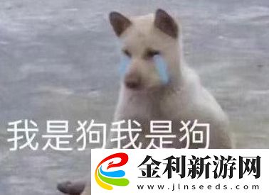 cwm小國(guó)際是什么梗絡(luò)用語