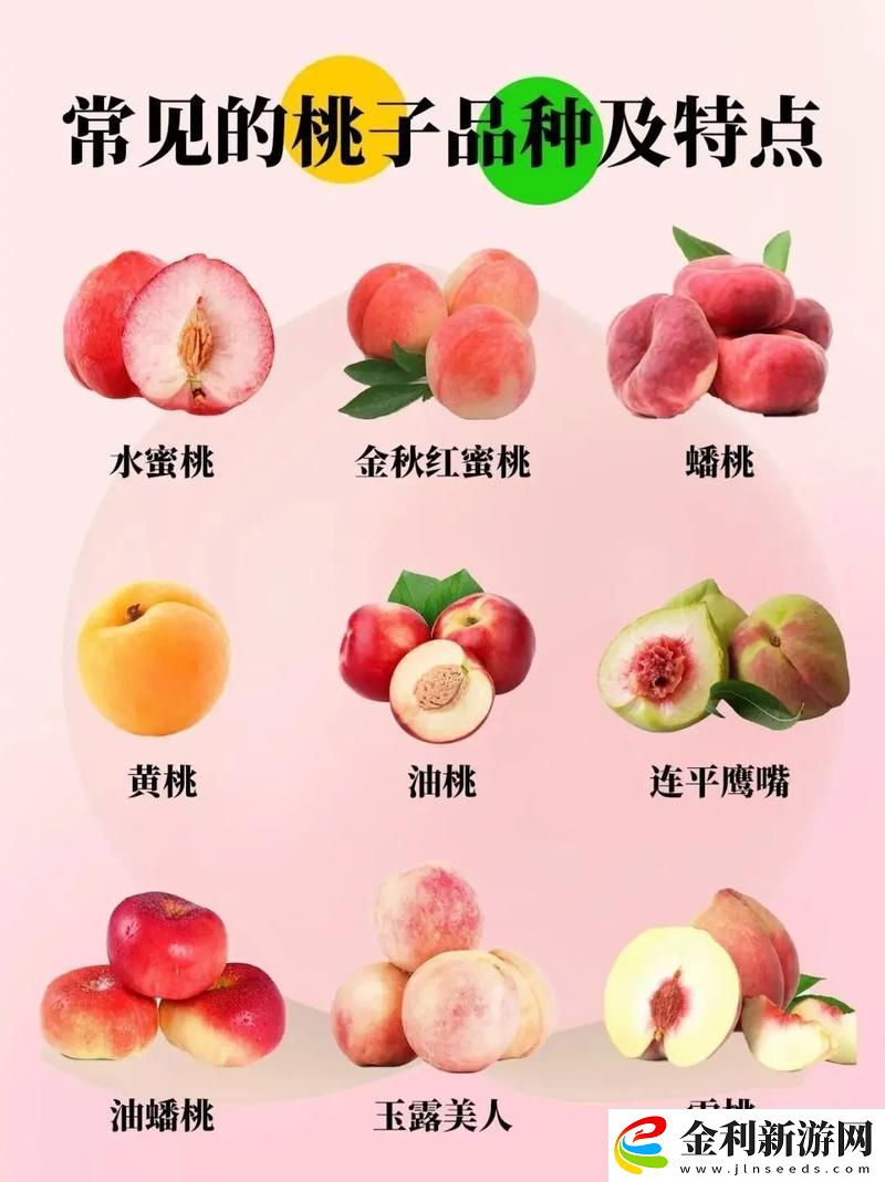 沁人心脾的水蜜桃2最經典的一句