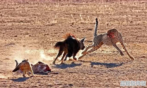 怪物獵人崛起深度解析