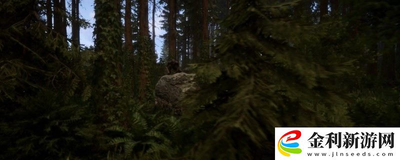 森林之子滑翔翼坐標位置一覽