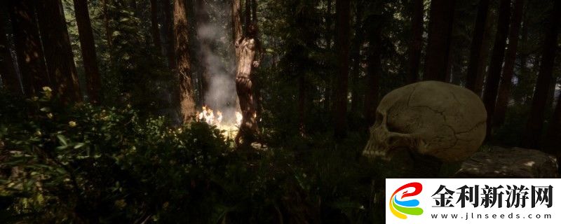 森林之子天氣設置代碼詳細一覽2025