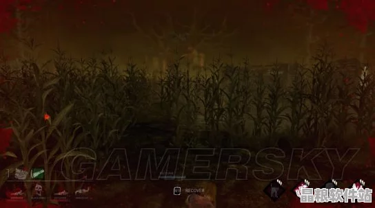 黎明殺機玉米地逃生通道深度解析