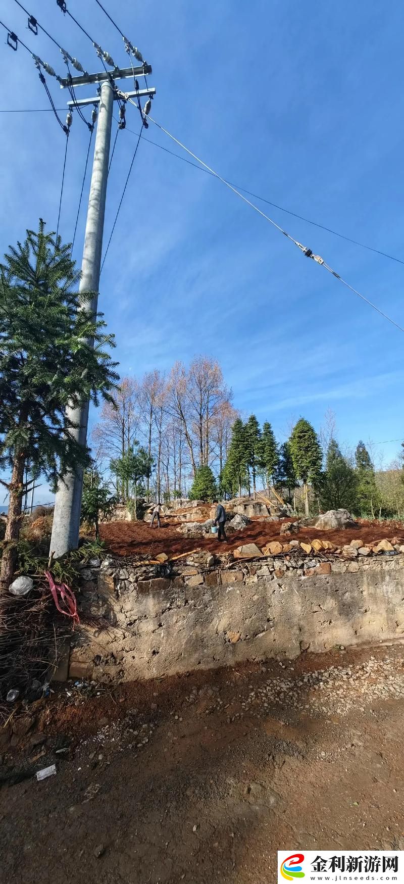 內容豐富四川人BBBBB桑BBBB