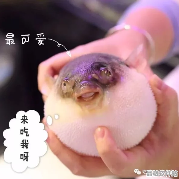 深入探索創造與魔法的奇幻世界