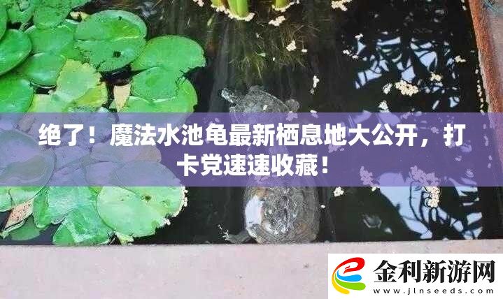 絕了!魔法水池龜最新棲息地大公開