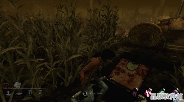 黎明殺機玉米地逃生通道深度解析