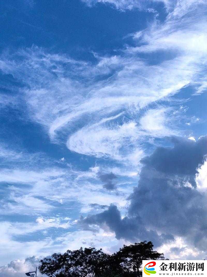 雙手在那叢茂密中靈動地游走