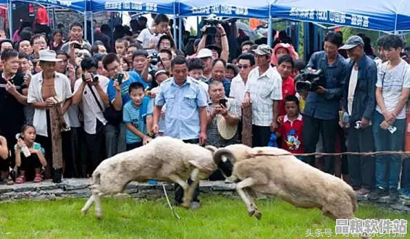 第五人格篝火狂歡活動(dòng)盛大啟幕