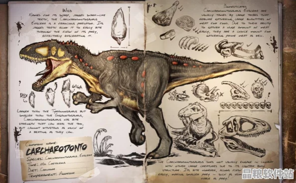 方舟生存進化深度解析