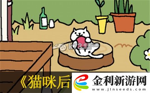 貓咪后院拍照及刪除照片方法