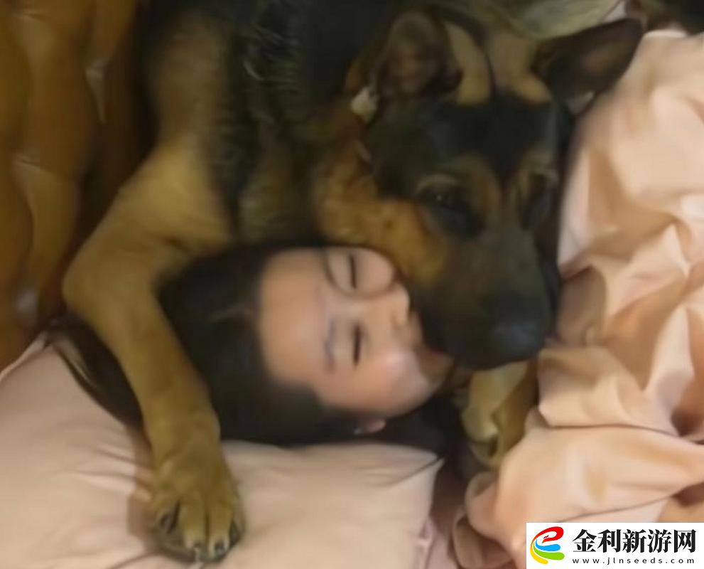 狗配人會鎖住多長時間能分開