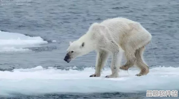 北極恐懼饑荒下的堅(jiān)守者