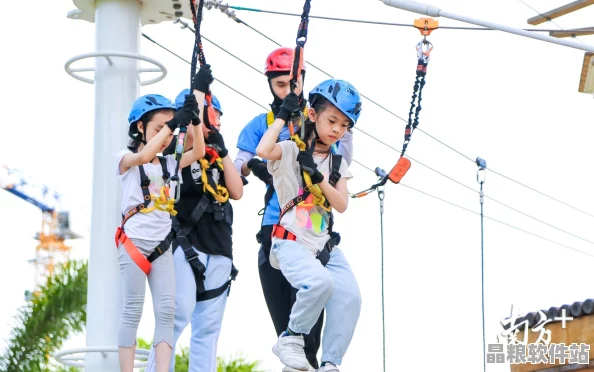 51動漫正版官方網站入口