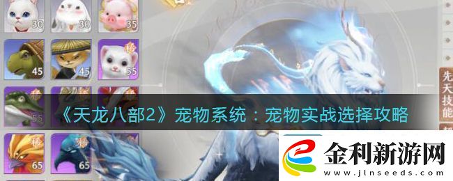 天龍八部2寵物系統