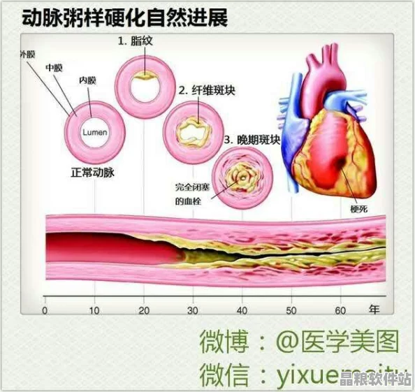 日久精品如何持久流暢體驗