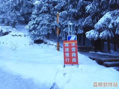 親情交織守護與擔當的溫暖篇章