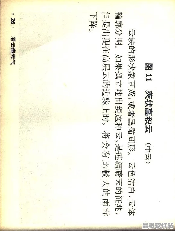 sssswwww究竟指何物