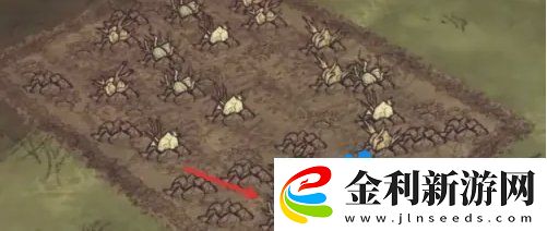 饑荒蜘蛛人怎么種地