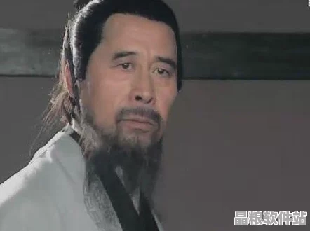 三國志11策略深度剖析