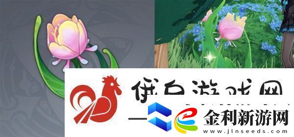 原神仆人阿蕾奇諾突破材料收集攻略