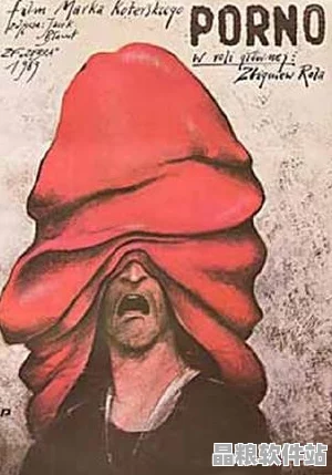 PORNO日本如何正規(guī)化探索
