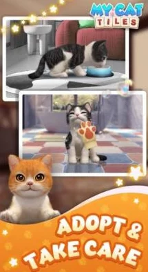 萌寵治愈新潮流