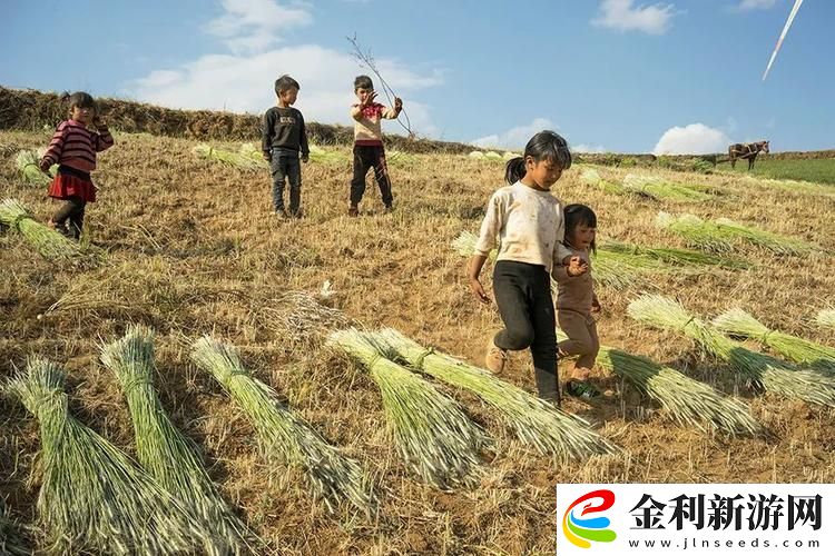 兒子辛勤耕耘母親的土地